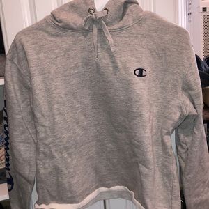 Champion sweatshirt